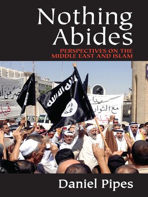cover image of Nothing Abides